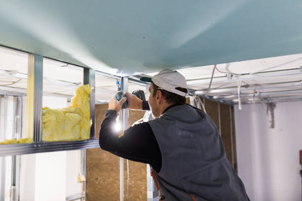 Best Cellulose Insulation in White Knoll, SC