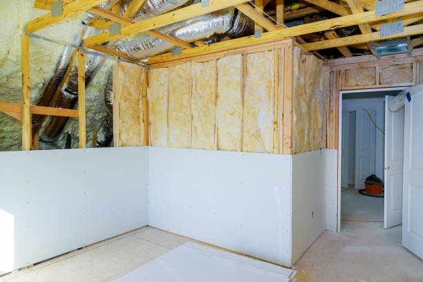 Best Insulation Maintenance and Repair in White Knoll, SC