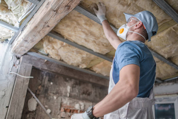 Best Geographic-Specific Insulation Services in White Knoll, SC