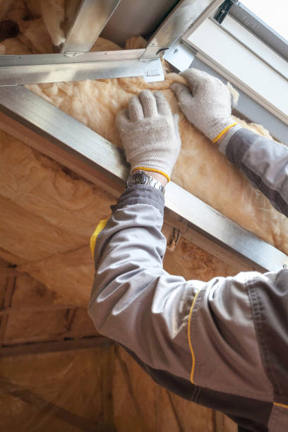 Types of Insulation We Offer in White Knoll, SC