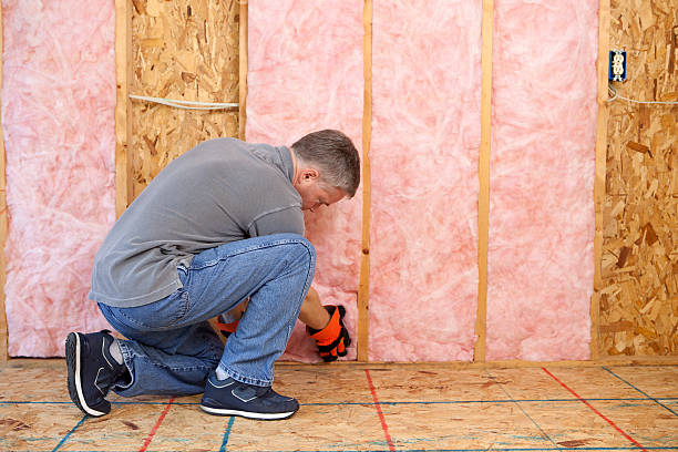 Best Energy Efficiency Insulation in White Knoll, SC